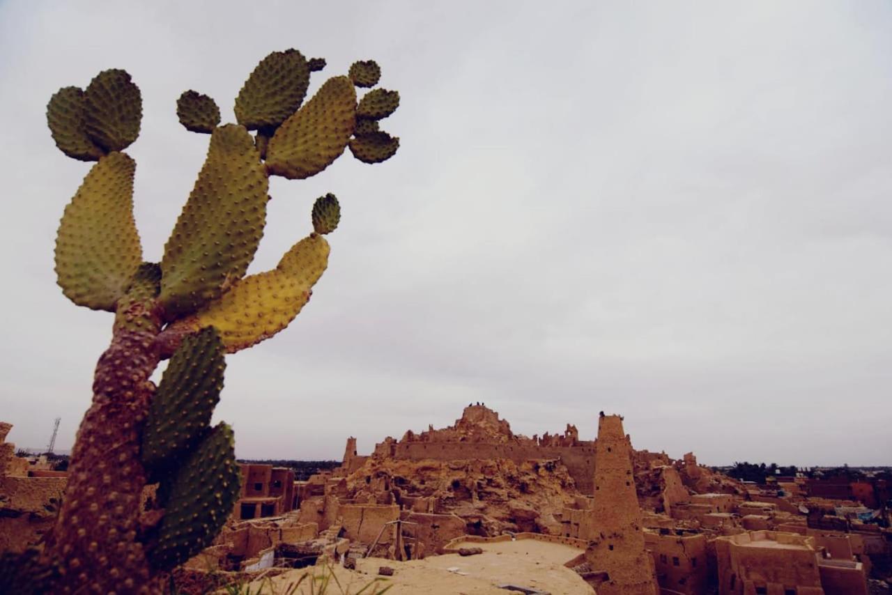 Nainshal Siwa Appartement Siwa Oasis Buitenkant foto